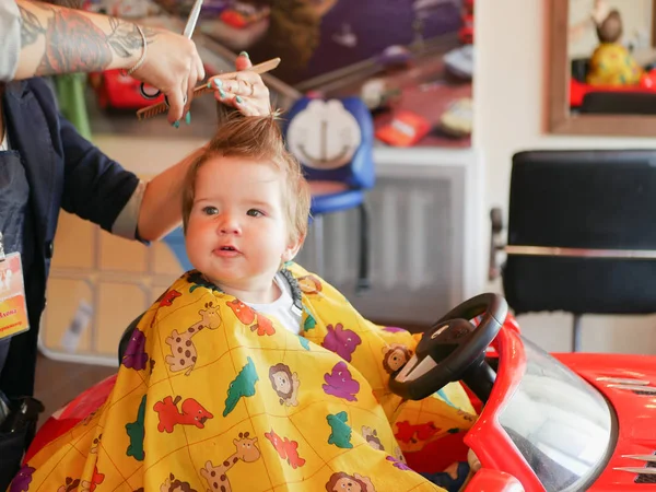 first baby haircut. Cute blonde toddler is happy to be on a haircut with a professional baby hairdresser. Blond little boy having a haircut at a hair salon. Hands of a hairdresser making a hairstyle f