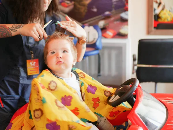 first baby haircut. Cute blonde toddler is happy to be on a haircut with a professional baby hairdresser. Blond little boy having a haircut at a hair salon. Hands of a hairdresser making a hairstyle f