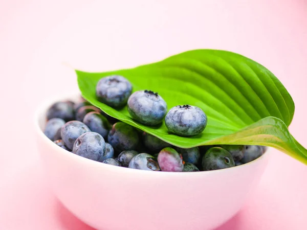 Blueberries on a green leaf. pink coral background. Blueberries with leaf close-up. Fruit still life for organic healthy food. — Stock Photo, Image
