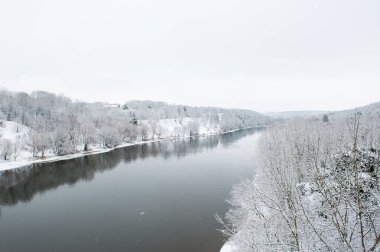 Kış ormanı kış doğası karda. Çam ormanında kış günü.