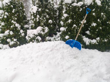 Kar yığınında kürek. Şimdi kürek. Karda yakın çekim. Kar temizleme, kar yağışı, çok miktarda yağış kaybı konsepti.