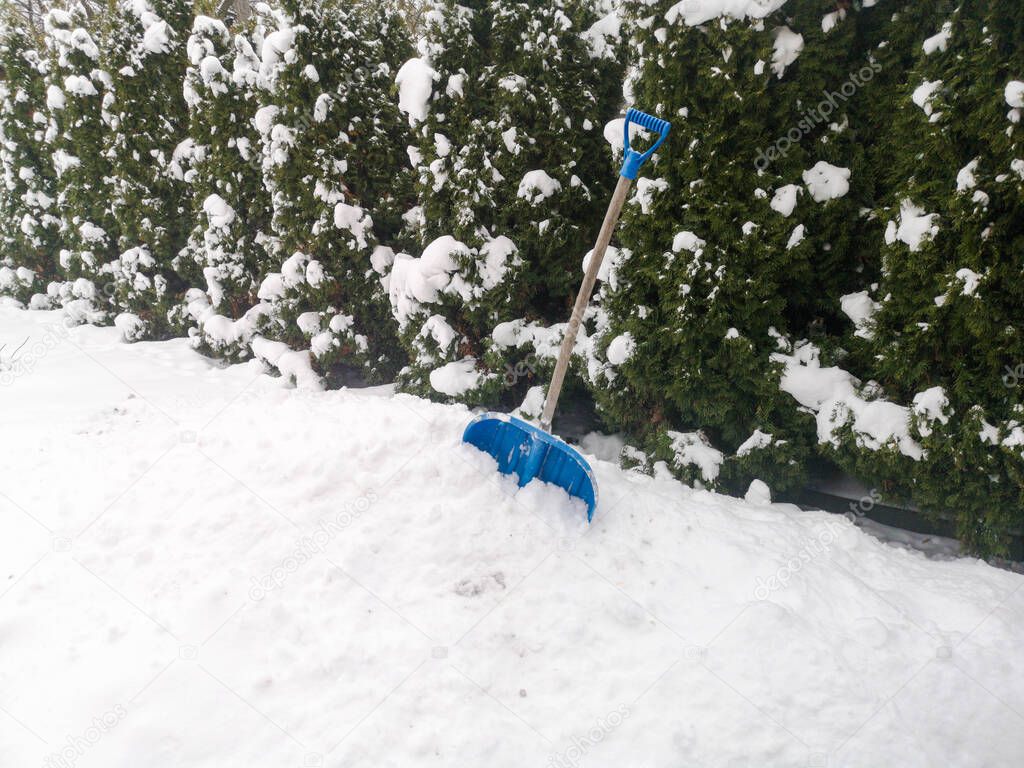 shovel in a snowdrift of blue.Snow shovel. Close-up in the snow. The concept of snow removal, snow drift, loss of a large amount of precipitation.