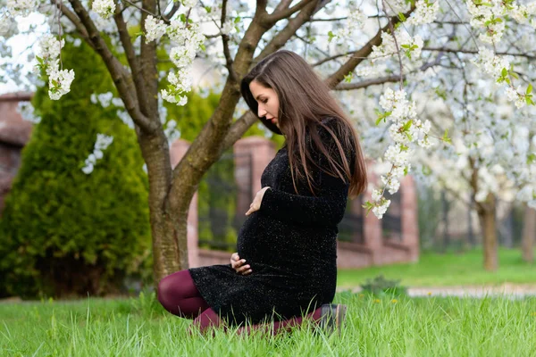 Una ragazza incinta è seduta in giardino. Bella ragazza incinta seduta sull'erba verde nel parco in estate, maternità felice, gravidanza sana, nuovo concetto di vita — Foto Stock