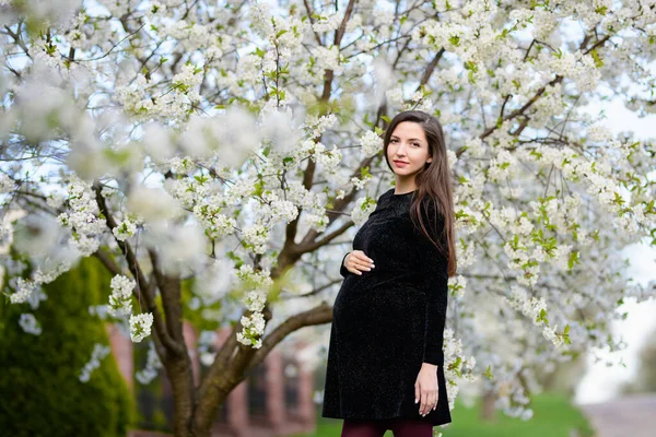 Беременная девушка в цветущем саду. красивая беременная девушка в черном платье стоит в цветущем саду — стоковое фото
