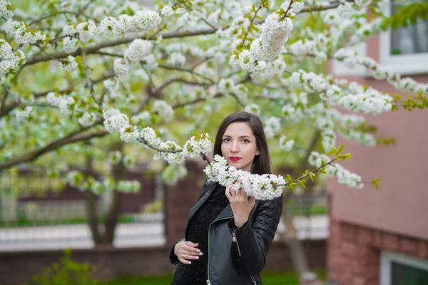 Chica embarazada en el jardín florecido. hermosa chica embarazada en un vestido negro está de pie en un jardín florecido —  Fotos de Stock