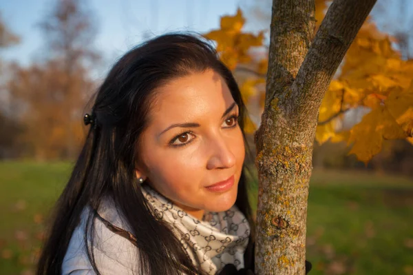 Девушка в осеннем лесу. Красивая элегантная женщина, стоящая в парке осенью — стоковое фото