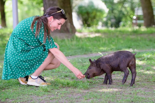 girl feeds a little pig. in a green meadow. The concept of sustainability, love of nature, respect for peace and love for animals. Ecological, Biological, Vegan, Vegetarian