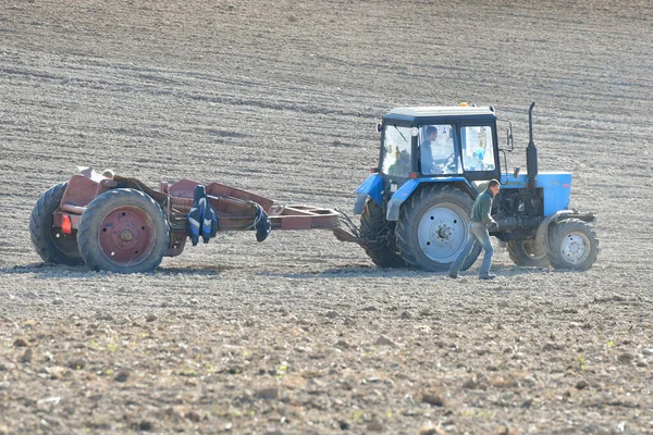 Трактор вспахивает поле. Фермер в тракторе готовит землю с семеноводителем, закат выстрел — стоковое фото