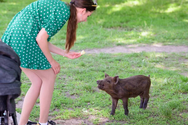 Une fille nourrit un petit cochon. dans une prairie verte. Le concept de durabilité, d'amour de la nature, de respect de la paix et d'amour des animaux. Ecologique, Biologique, Végétalien, Végétarien — Photo