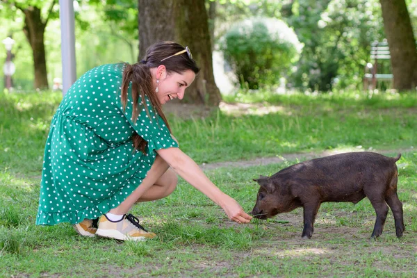 girl feeds a little pig. in a green meadow. The concept of sustainability, love of nature, respect for peace and love for animals. Ecological, Biological, Vegan, Vegetarian