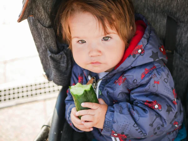 A criança come um pepino. sentado num carrinho de bebé. emoções vivas. criança 0-1 ano de idade — Fotografia de Stock