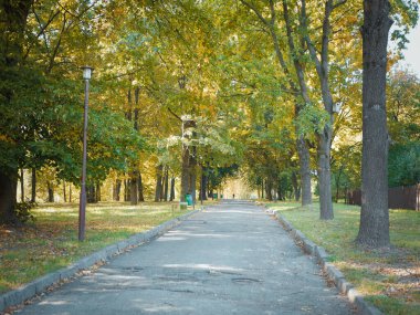 Sonbahar parkında yol. Parkta yürü. sezon