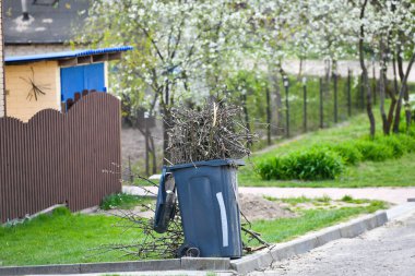 Ağaç buduyorum. Ağaçtan organik gübre konteynırına kadar bazı dallar kesiliyor.