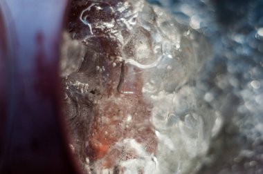 Bahar peyzaj, tenha yerlerde son kar. Parlak güneş kar erir. Yeşil çam. Yaprak döken ağaçların yaprakları olmadan. Kar suyu eritebilir. Geçen yılki çim sarı.