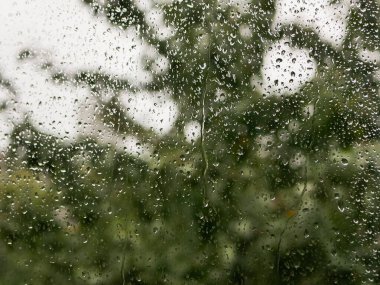 Camdaki yağmur damlaları. Yağmurlu bir hava. Doğanın bulanık arka planına karşı. Bir sonbahar günü pencereye yağmur damlaları düşer. arkaplanda yeşil ağaç.