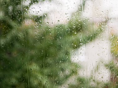 Camdaki yağmur damlaları. Yağmurlu bir hava. Doğanın bulanık arka planına karşı. Bir sonbahar günü pencereye yağmur damlaları düşer. arkaplanda yeşil ağaç.