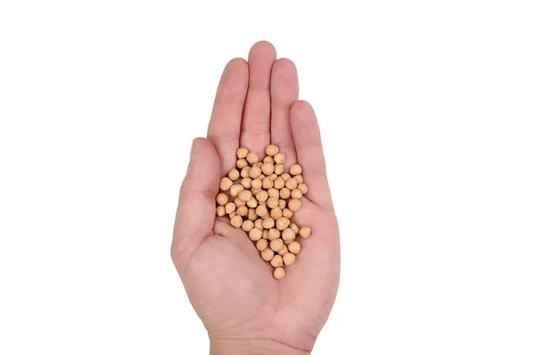 Overhead Shot Hand Holding Chickpeas Beans Isolated White Background — Stock Photo, Image