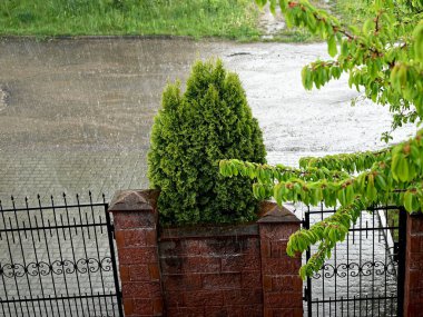 Pencerenin dışında yaz yağmuru fotoğrafı. Yüksek kalite fotoğraf