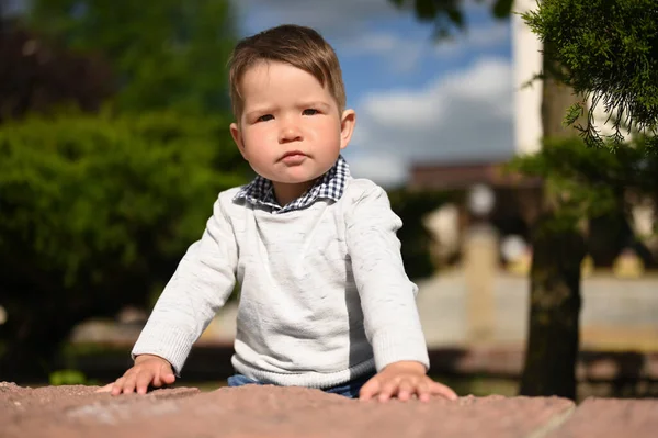 Retrato Uma Criança Uma Camisola Camisa Foto Alta Qualidade — Fotografia de Stock