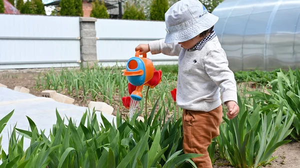 Enfant Arrosant Des Fleurs Arrosoir Dans Rue — Photo