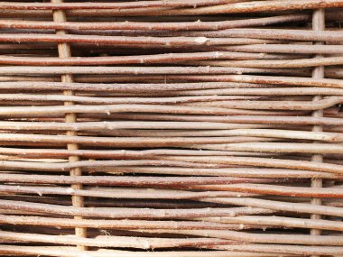 Örülmüş ağaç dallarının arkaplanı. Yüksek kalite fotoğraf