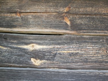 Koyu renkli hasarlı bir ağacın dokusu. Düz yat. Yüksek kalite fotoğraf