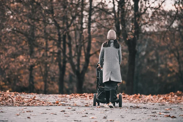 Девушка Осеннем Парке Гуляет Коляской Высокое Качество Фото — стоковое фото