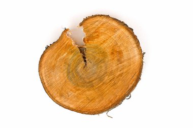 Tahta testerenin kesik kısmı izole bir arka planda kesilmiş. Yüksek kalite fotoğraf