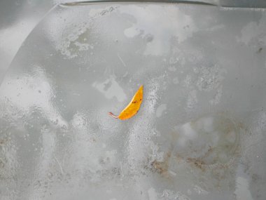 Islak plastiğin üzerindeki sarı çarşaf. Yüksek kalite fotoğraf