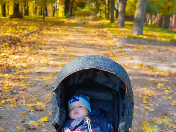 Детский Сон Осеннем Парке Высокое Качество Фото — стоковое фото