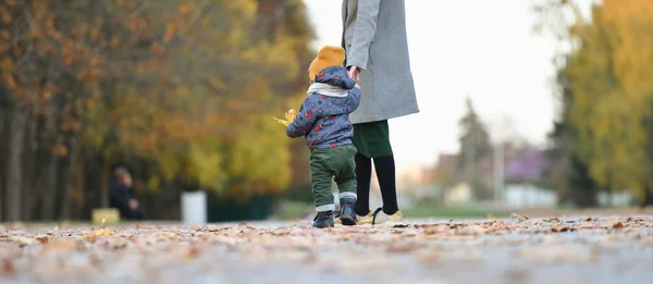 Retrato Niño Con Madre Caminando Sobre Follaje Amarillo Foto Alta —  Fotos de Stock