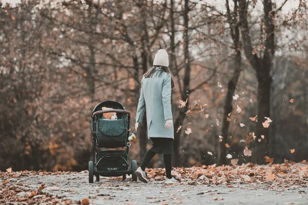 Mutter Mit Neugeborenem Herbstpark Hochwertiges Foto — Stockfoto