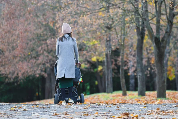 Walking Mom Stroller Autumn Park Back View High Quality Photo — Stock Photo, Image