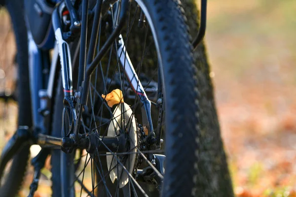 Gelbes Blatt Auf Einem Fahrradrad Hochwertiges Foto — Stockfoto