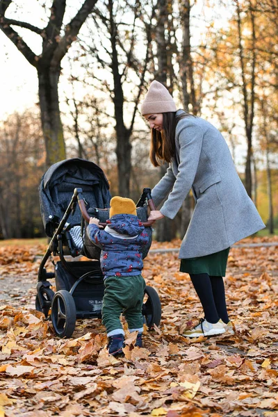 Kind Hilft Mama Beim Kinderwagen Schieben Hochwertiges Foto — Stockfoto