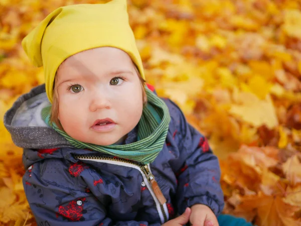 Маленький Ребенок Играет Осеннем Парке Желтой Листве Высокое Качество Фото — стоковое фото