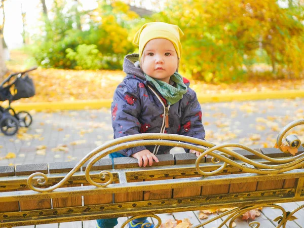 Ребенок Возле Скамейки Осеннем Парке Высокое Качество Фото — стоковое фото