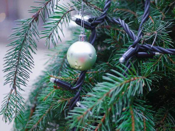 Серебряный Рождественский Бал Сосне Высокое Качество Фото — стоковое фото