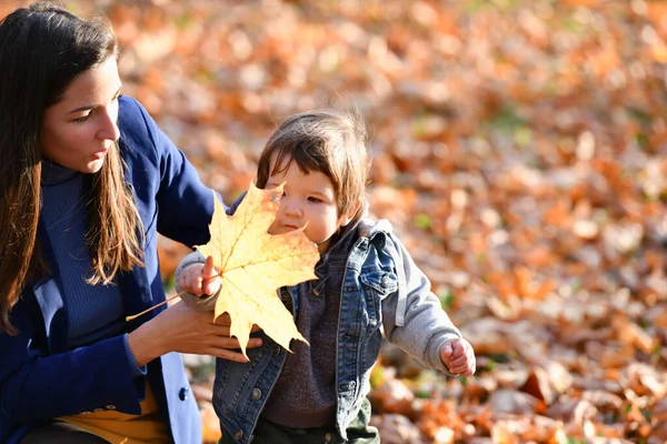 Junge Mutter Mit Kind Verbringt Zeit Herbstpark Hochwertiges Foto — Stockfoto