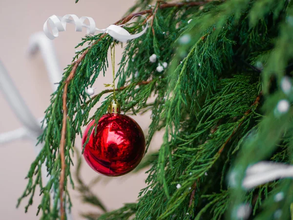 Palla Ghirlanda Rossa Appesa All Albero Primo Piano Foto Alta — Foto Stock