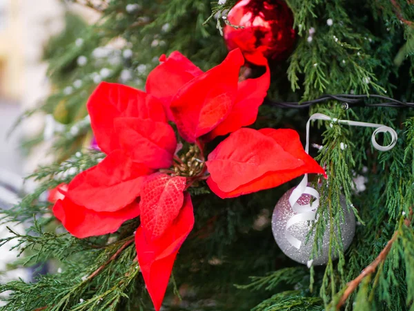 Zilveren Kerstbal Dennenboom Hoge Kwaliteit Foto — Stockfoto