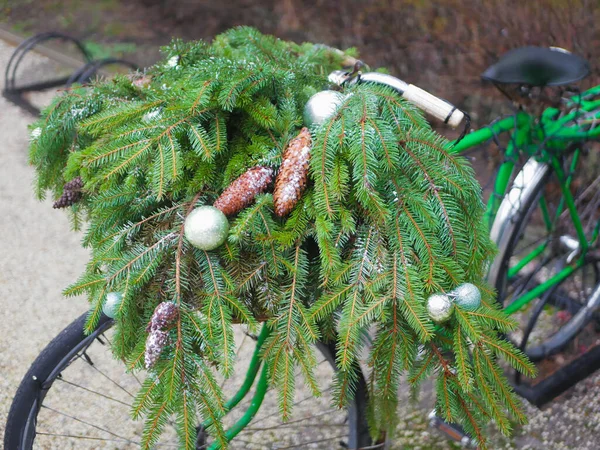 자전거에는 전나무 바늘과 원추가 있습니다 고품질 — 스톡 사진