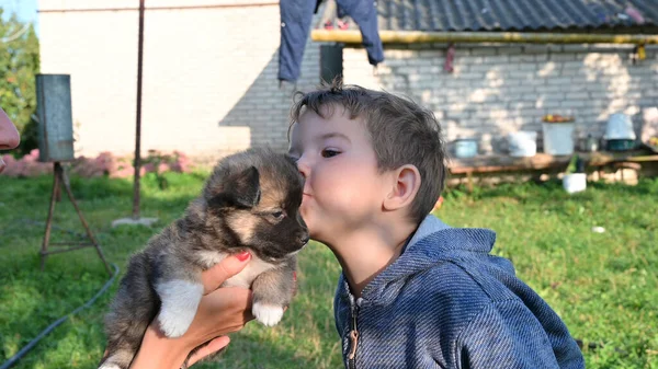 Kind Küsst Einen Kleinen Hundewelpen Hochwertiges Foto — Stockfoto