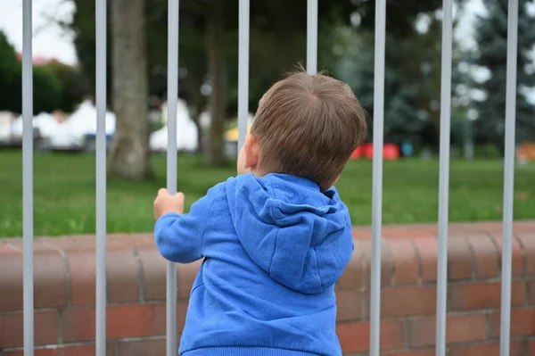 Bambino Guarda Recinzione Metallo Foto Alta Qualità — Foto Stock