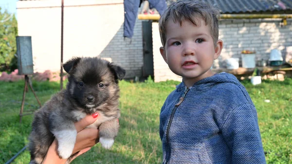 Retrato Uma Criança Filhote Cachorro Seus Braços Foto Alta Qualidade — Fotografia de Stock