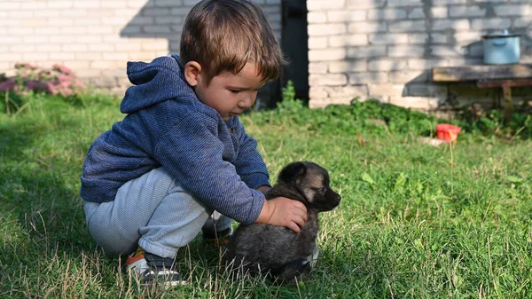 Enfant Caressant Petit Chiot Photo Haute Qualité — Photo