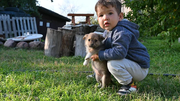 Дитина Обіймає Цуценя Високоякісна Фотографія — стокове фото