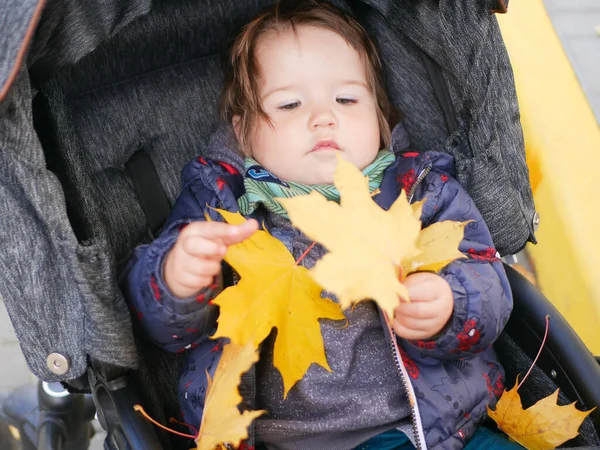 黄色のカエデの葉を持つ小さな子供は — ストック写真