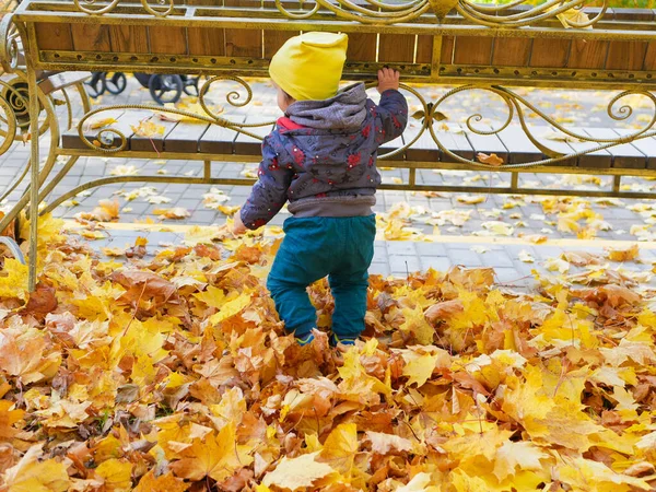 Ребенок Возле Скамейки Осеннем Парке Высокое Качество Фото — стоковое фото