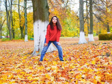 Parkta düşmüş sarı yapraklı bir arka planda genç bir kız. Yüksek kalite fotoğraf